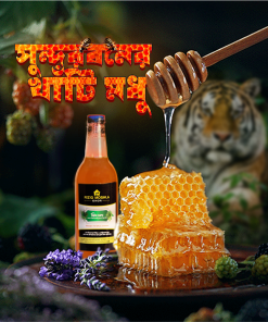 সুন্দরবন এর চাক ভাঙ্গা মধু।